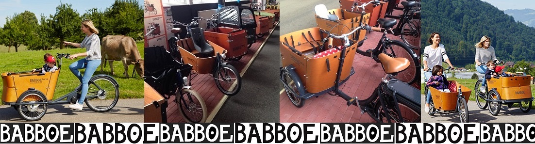 |default:Babboe ERSATZTEILE|default:.NAME