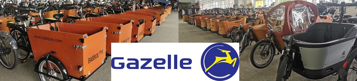 |default:GAZELLE|default:.NAME