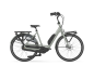 Preview: Gazelle Bloom C310 L 630W SE RH49cm
