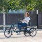 Mobile Preview: VAN RAAM Easy Rider Dreirad SPEZIAL mit 24Ah Akku FENSTERGRAU
