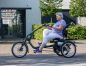 Preview: VAN RAAM Easy Rider Dreirad 404Wh SPEZIAL FENSTERGRAU