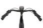 Preview: Gazelle Avignon C8 HMB Akku 625Wh RH49