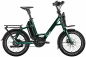 Preview: QIO EINS+ P-5 Rücktritt 800Wh forest green