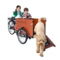 Mobile Preview: Babboe DOG-E 500Wh Hunde AKTION inkl. Regenverdeck
