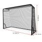 Preview: BERG SPORTSGOAL Gr. L 300x200