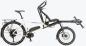Preview: Hase Bikes Pino Steps Perlweiß