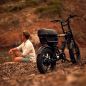 Preview: STOER Bikes Ultimate S1+ 960Wh metallic green