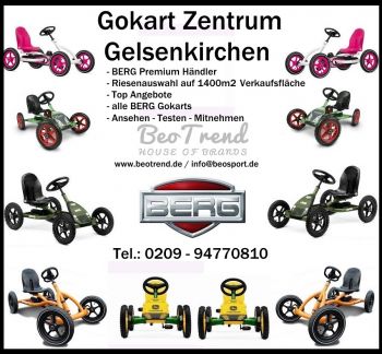 BERG Gokart Soziussitz Case