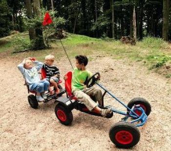 BERG Gokart Fahne für XL Gokarts