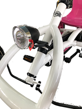 Berg Buddy LED 20 Lux Strahler