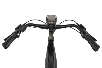 Gazelle Avignon C8 HMB Akku 625Wh RH49