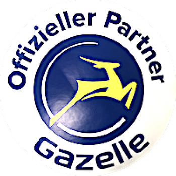 Gazelle Avignon C8 HMB Akku 625Wh RH53 DIAMANT EDITION
