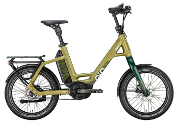 Qio Eins+ P-5 Mod.24 LL Midnight Moss Leaf Line EDITION