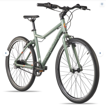 Preview: Academy Grade 6 Belt 26Zoll olive