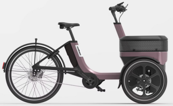 vanRaam Thuja Enviolo Riemenantrieb 410Wh Cargo Basket Kettenantrieb