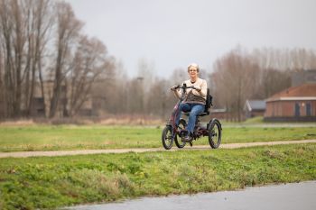 VAN RAAM Easy Rider Kompakt Verkehrsgrau matt