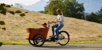 Babboe Curve Mountain Lastenrad 500Wh schwarz  AKTION inkl. Regenverdeck