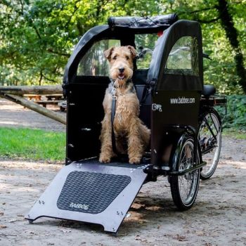 Babboe Regenverdeck für Lastenrad DOG schwarz