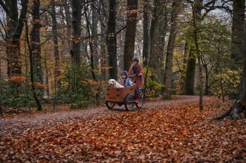 Babboe GO Mountain Lastenrad 500Wh