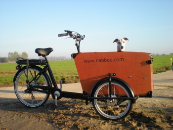 Babboe DOG-E 450Wh Hunde Lastenrad braun