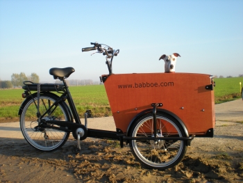 Babboe DOG-E 500Wh Hunde AKTION inkl. Regenverdeck