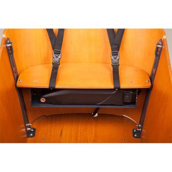 Babboe Curve Mountain Lastenrad 500Wh schwarz  AKTION inkl. Regenverdeck