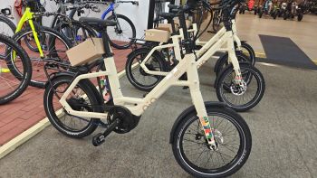 Qio EINS P-E Art Line 500Wh Performance Line mit BySchulz Federsattelstütze