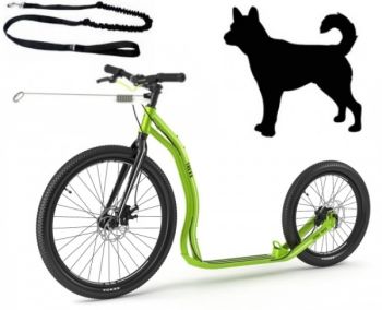 Yedoo Trexx DISC CROSS DOG SCOOTER EDITION grün