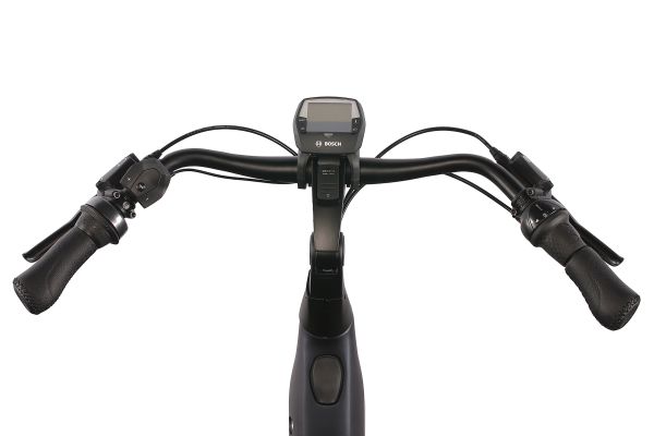 Gazelle Avignon C8 HMB Akku 625Wh RH49