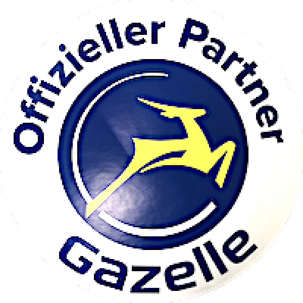Gazelle Avignon C8 HMB Akku 625Wh RH53 DIAMANT EDITION
