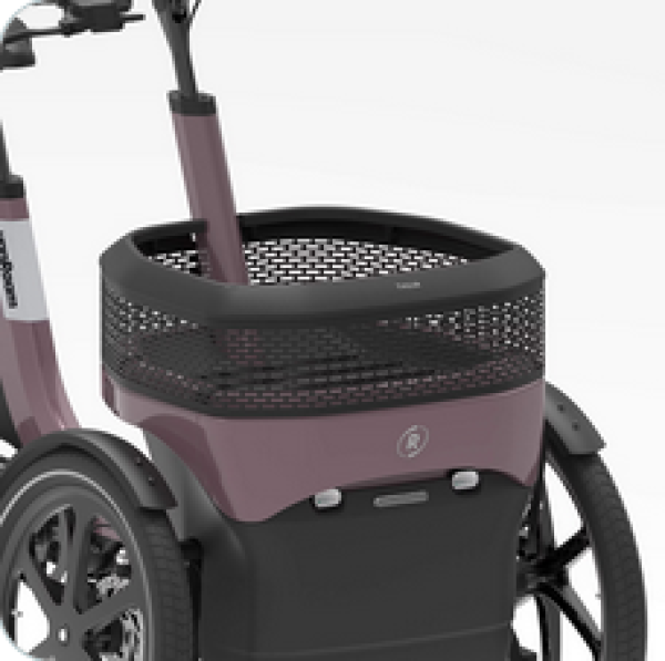 vanRaam Thuja Cargo basket