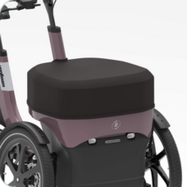 vanRaam Thuja Cargo basket Abdeckung