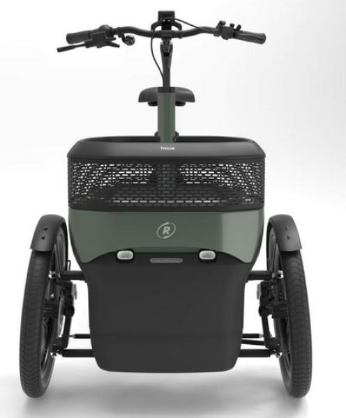 vanRaam Thuja Enviolo Riemenantrieb 410Wh Cargo Basket Kettenantrieb grün