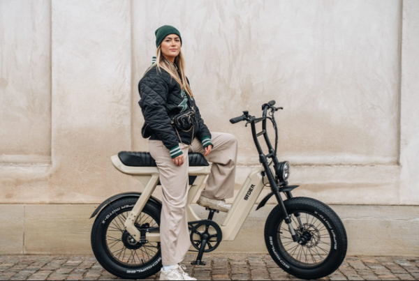 STOER CityX 2026 720Wh Nardo Grey