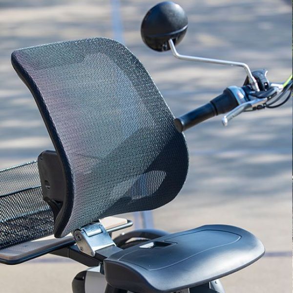 VAN RAAM Easy Rider Dreirad 404Wh SPEZIAL