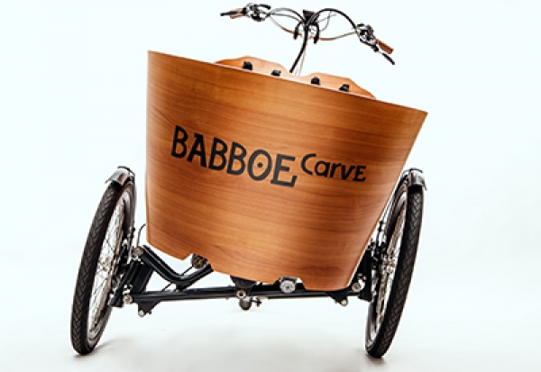 Babboe Carve Mountain 500Wh Mittelmotor Lastenrad / kein Versand