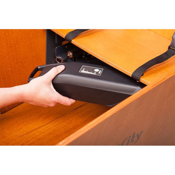 Babboe Curve Mountain Lastenrad 500Wh schwarz  AKTION inkl. Regenverdeck