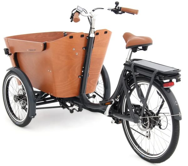 Babboe Flow-E Lastenrad 500Wh