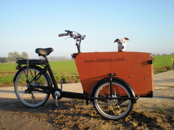 Babboe DOG-E 500Wh Hunde AKTION inkl. Regenverdeck