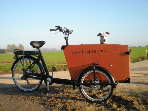 Babboe DOG-E 500Wh schwarz-braun AKTION inkl. Regenverdeck