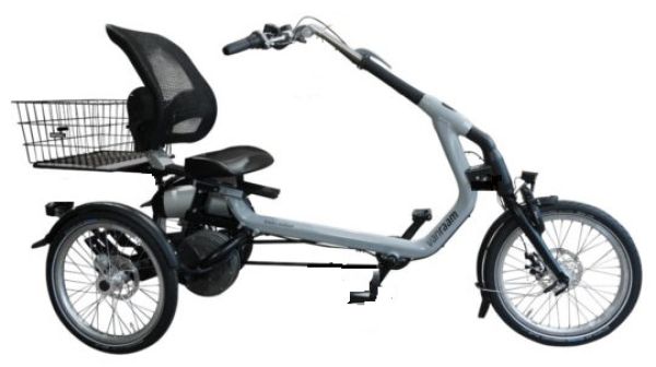 VAN RAAM Easy Rider Dreirad SPEZIAL mit 844Wh Akku FENSTERGRAU
