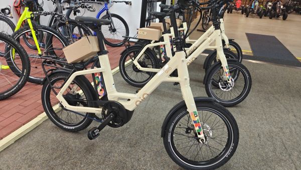 Qio EINS P-E Art Line 500Wh Performance Line mit BySchulz Federsattelstütze