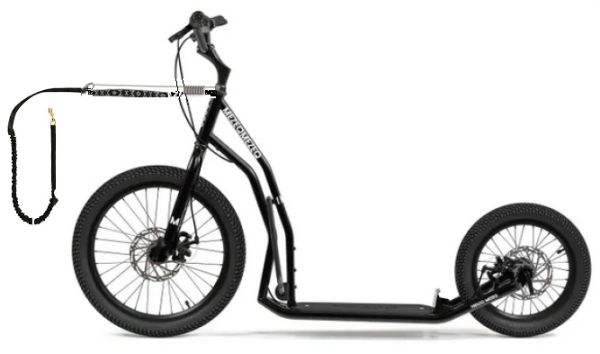 YEDOO MEZEQ Disc Y40 DOG SCOOTER - KEIN VERSAND